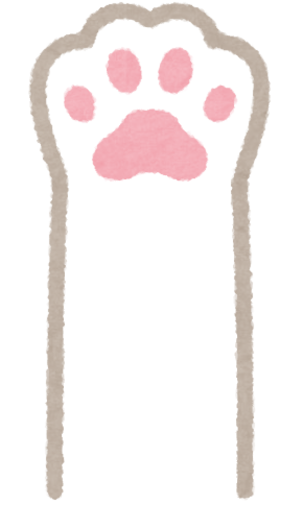 テスト