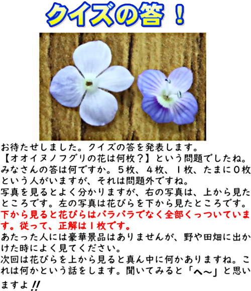 画像: b.pdf