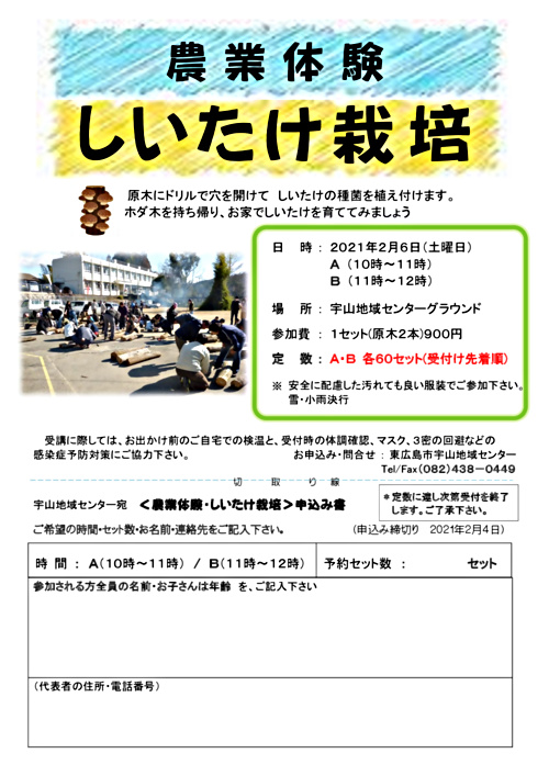 農業体験 シイタケ栽培