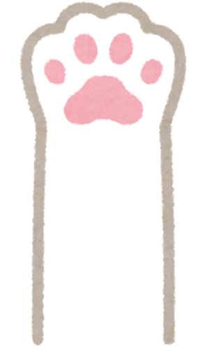 テスト