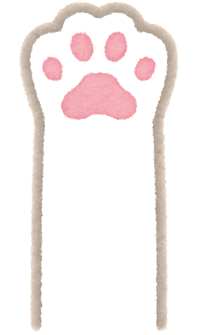 猫の手お掃除回